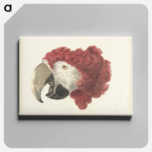 Head of a Macaw - アールト シューマン Canvas.