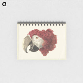 アートメモ帳-Head of a Macaw - アールト シューマン Memo.