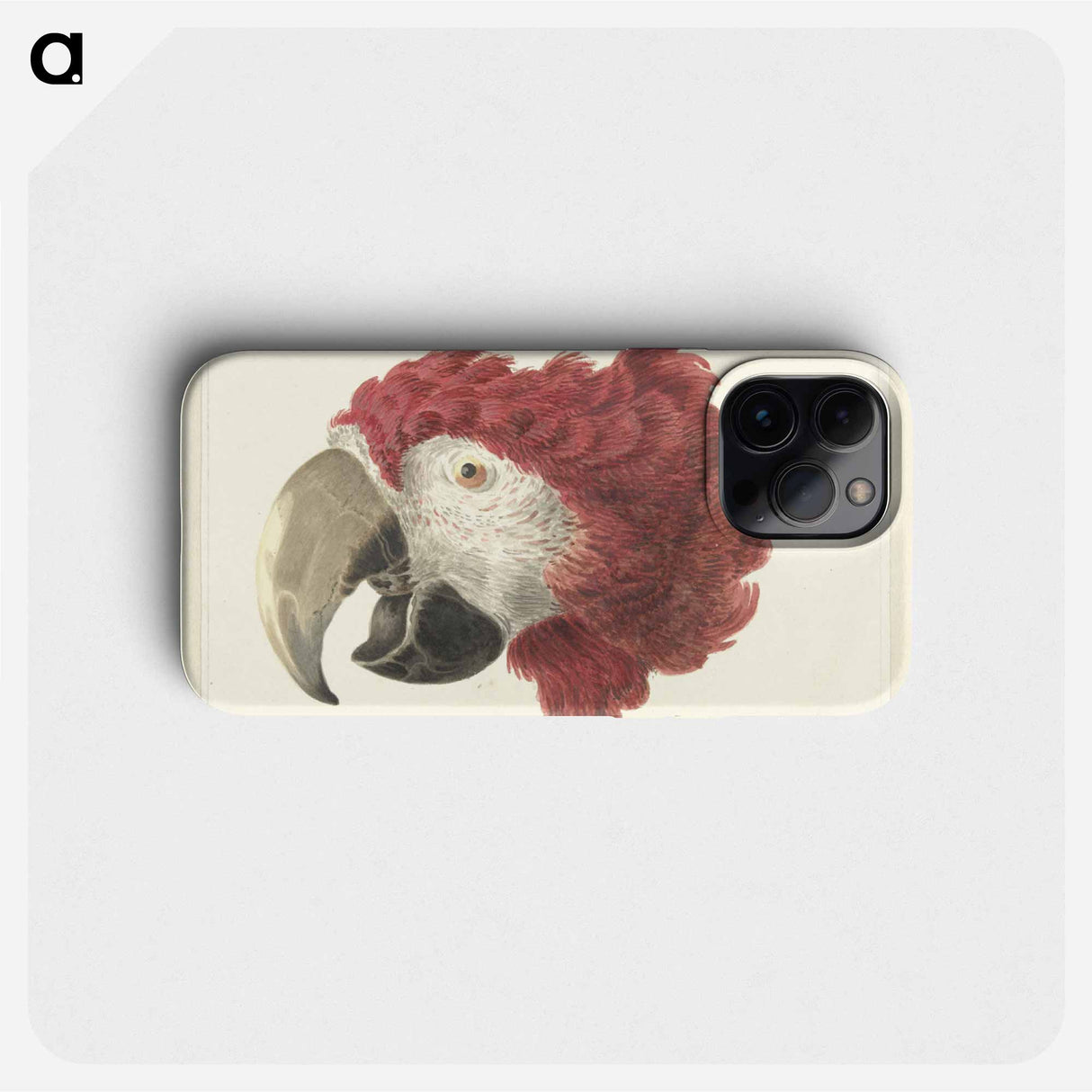 Head of a Macaw - アールト シューマン Phone Case.