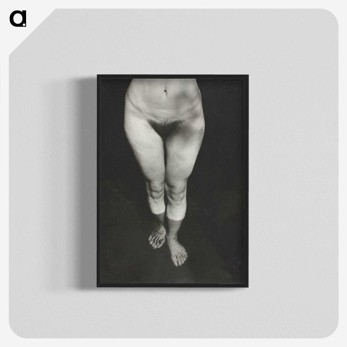 1-21_Alfred-Stieglitz_blk-crop