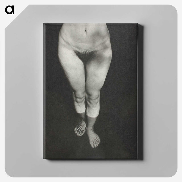 1-21_Alfred-Stieglitz_canvas