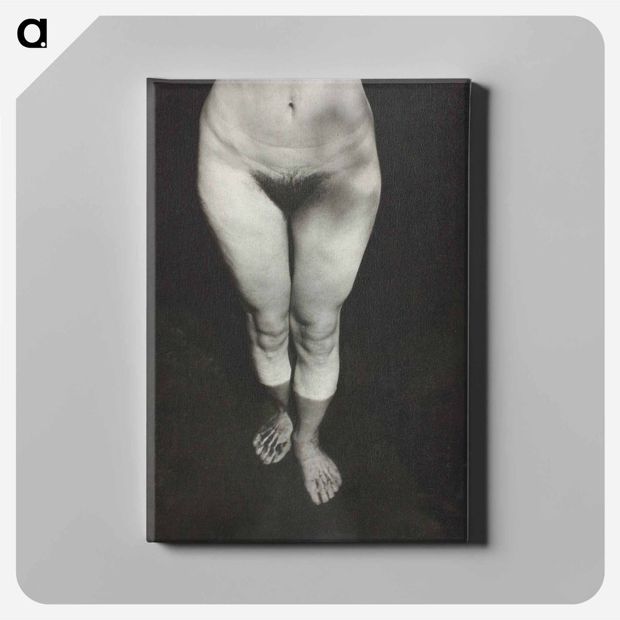 Rebecca Salsbury Strand - アルフレッド スティーグリッツ Canvas.