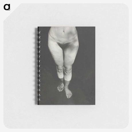 1-21_Alfred-Stieglitz_memo