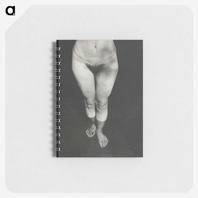 1-21_Alfred-Stieglitz_memo