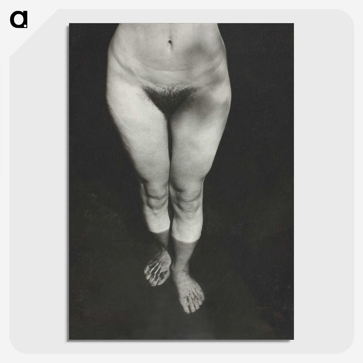 1-21_Alfred-Stieglitz_picture-crop