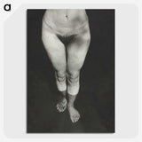 1-21_Alfred-Stieglitz_picture-crop