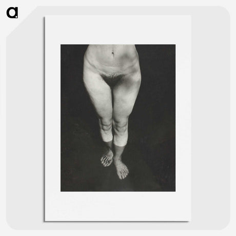 1-21_Alfred-Stieglitz_picture