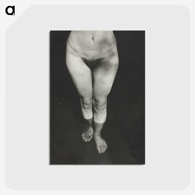 1-21_Alfred-Stieglitz_postcard