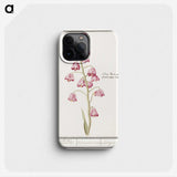 1-21_Anselmus-Boetius-de-Boodt_phone