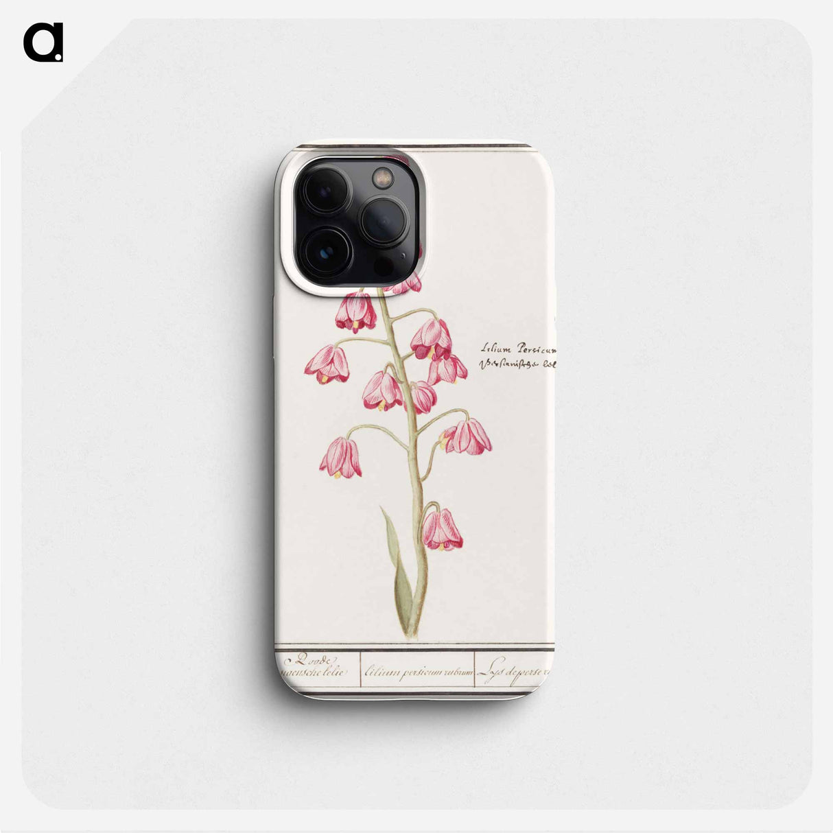 Persian lily - アンセルムス ボエティウス デ ブート Phone Case.