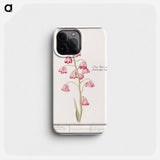 Persian lily - アンセルムス ボエティウス デ ブート Phone Case.