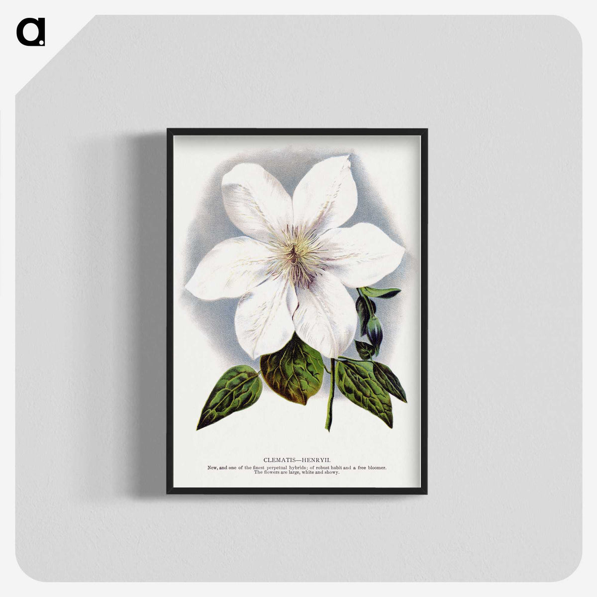 1-21_Botanical-Specimen-Plates_blk-crop