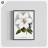 1-21_Botanical-Specimen-Plates_blk-crop