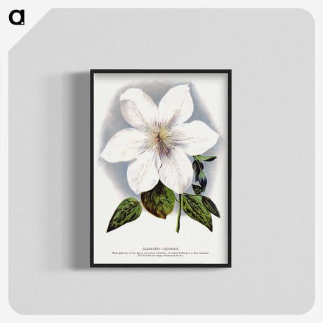 1-21_Botanical-Specimen-Plates_blk-crop