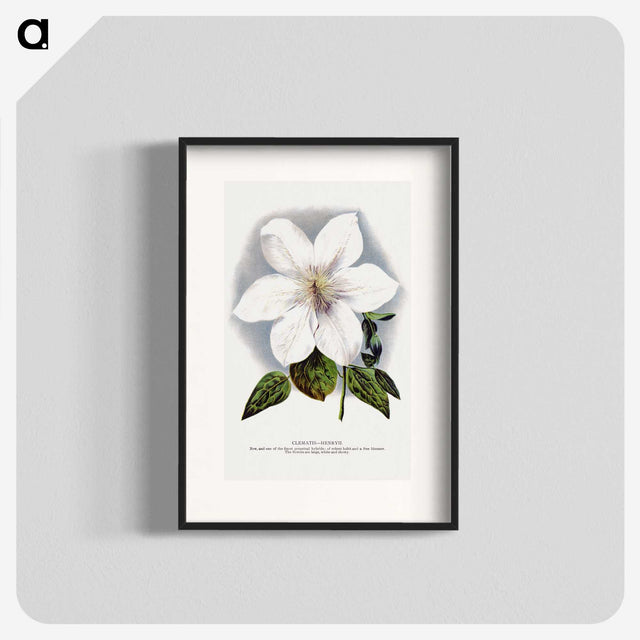 1-21_Botanical-Specimen-Plates_blk