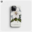 1-21_Botanical-Specimen-Plates_phone