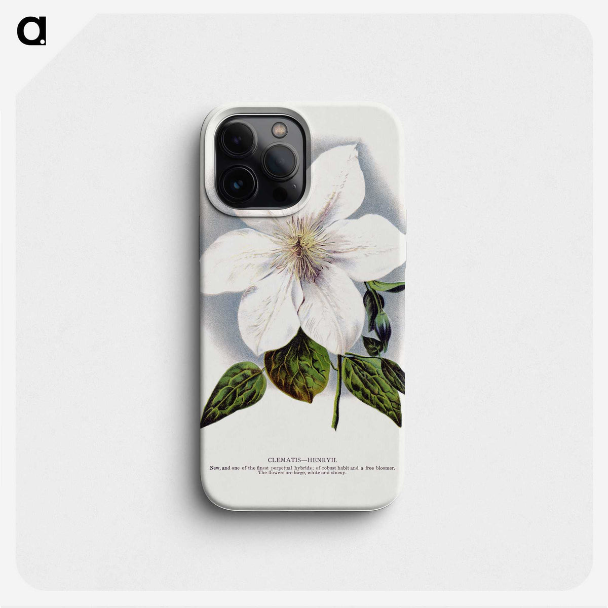 1-21_Botanical-Specimen-Plates_phone