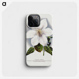 1-21_Botanical-Specimen-Plates_phone