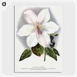 1-21_Botanical-Specimen-Plates_picture-crop