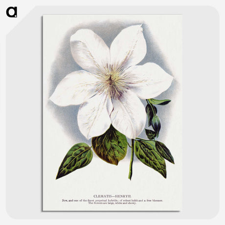 1-21_Botanical-Specimen-Plates_picture-crop