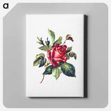 アートパネル-Rose from Poets in the Garden
 - 大英図書館 Canvas.
