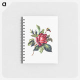 アートメモ帳-Rose from Poets in the Garden
 - 大英図書館 Memo.