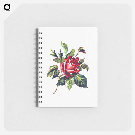 アートメモ帳-Rose from Poets in the Garden
 - 大英図書館 Memo.