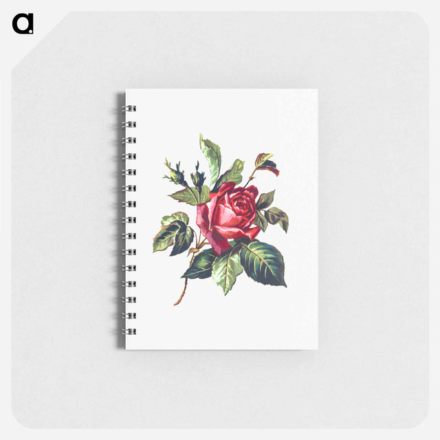 アートメモ帳-Rose from Poets in the Garden
 - 大英図書館 Memo.