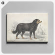 1-21_Charles-Hamilton-Smith_canvas