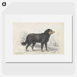 1-21_Charles-Hamilton-Smith_picture