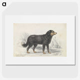 1-21_Charles-Hamilton-Smith_picture
