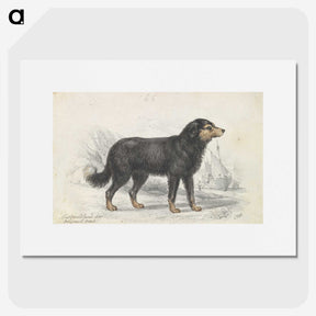 1-21_Charles-Hamilton-Smith_picture