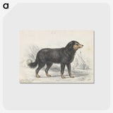 1-21_Charles-Hamilton-Smith_postcard