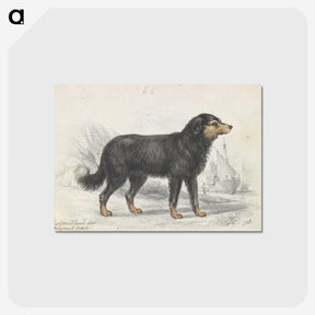 1-21_Charles-Hamilton-Smith_postcard
