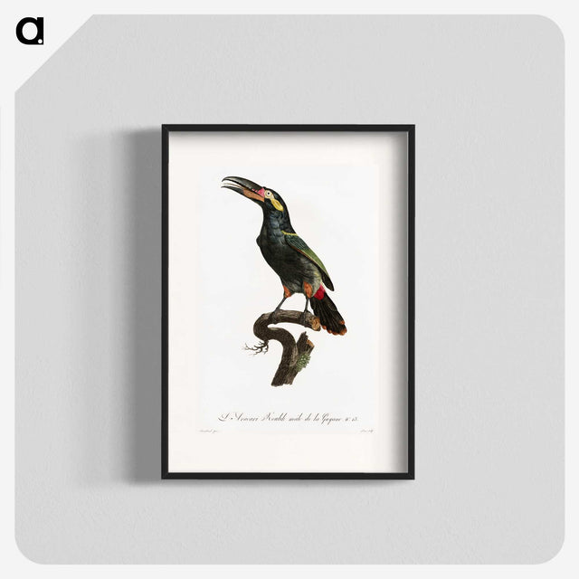 1-21_Des-Oiseaux-de-Paradis_blk
