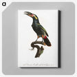 1-21_Des-Oiseaux-de-Paradis_canvas
