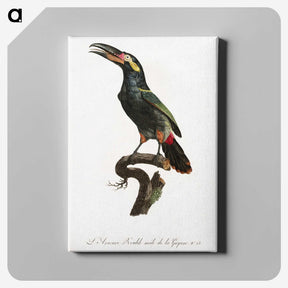 1-21_Des-Oiseaux-de-Paradis_canvas