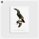 1-21_Des-Oiseaux-de-Paradis_hagaki
