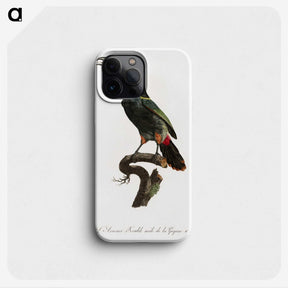 1-21_Des-Oiseaux-de-Paradis_phone