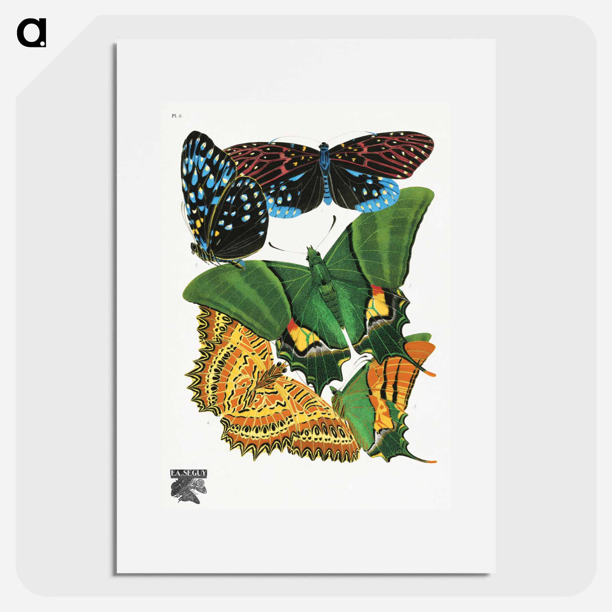 E.A. Séguy's vintage butterflies - E.A.セギー Poster.
