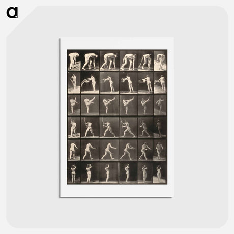 アートポストカード-Woman with Tennis Racquet
 - エドワード マイブリッジ Postcard.