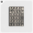 1-21_Eadweard-Muybridge_memo