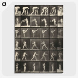 1-21_Eadweard-Muybridge_picture-crop