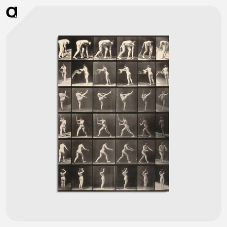 アートポストカード-Woman with Tennis Racquet
 - エドワード マイブリッジ Postcard.