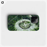 1-21_Earth-from-Above_phone