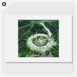 1-21_Earth-from-Above_picture