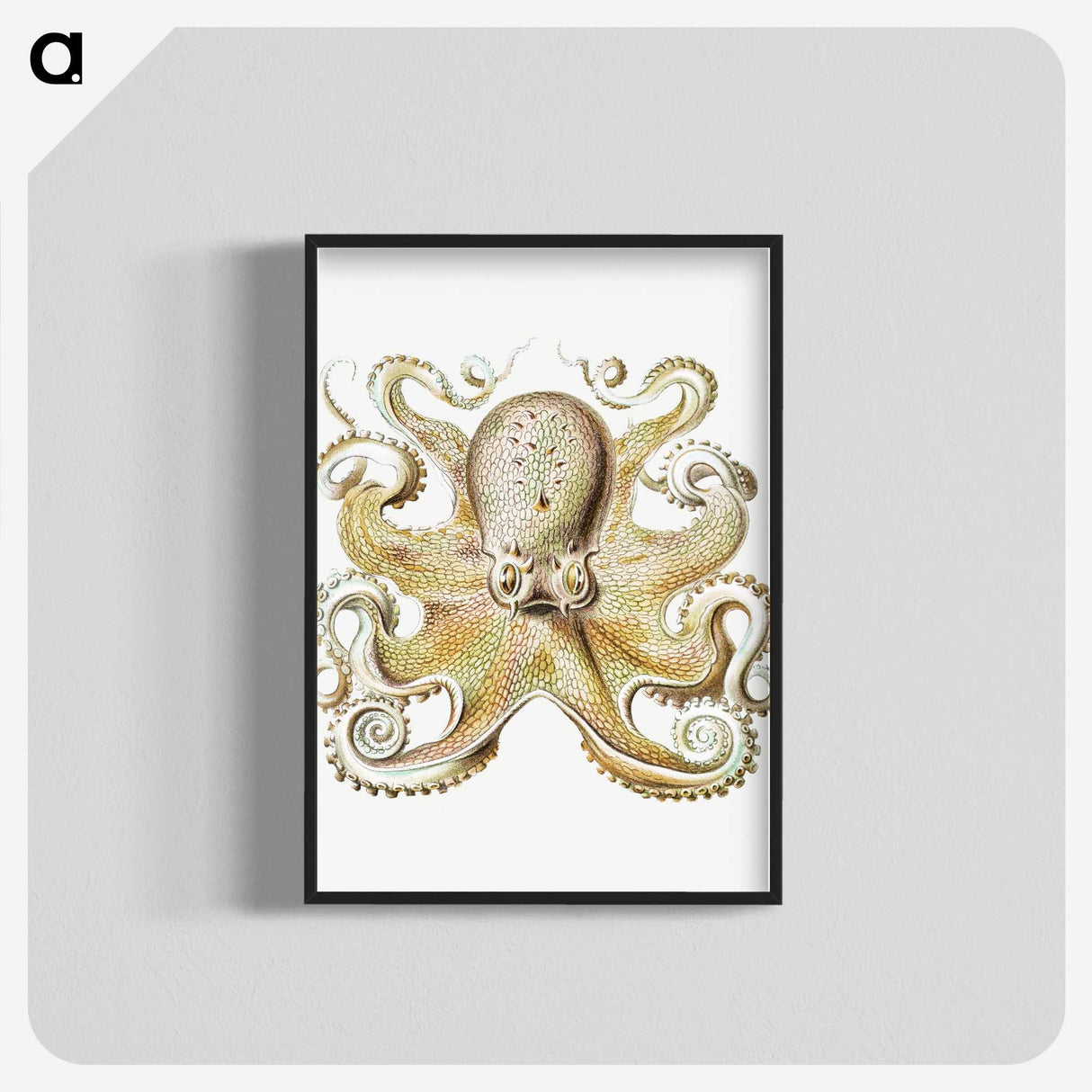 1-21_Ernst-Haeckel_blk-crop