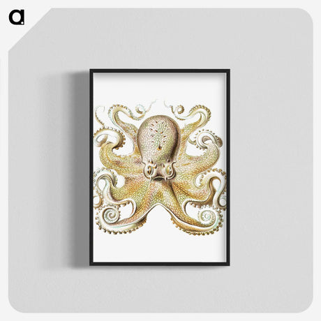 1-21_Ernst-Haeckel_blk-crop