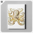 1-21_Ernst-Haeckel_canvas