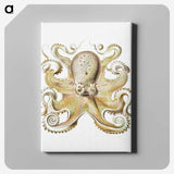 1-21_Ernst-Haeckel_canvas
